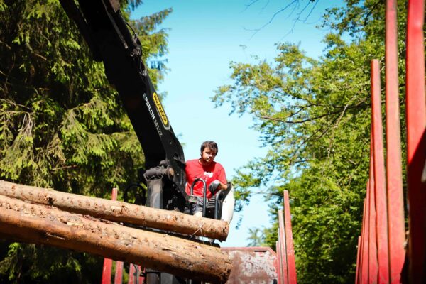 Holztransport_15 Holztransport_15